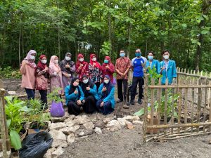 Budidaya Tanaman Obat di Kebun TOGA Desa Guwosari oleh Himpunan Mahasiswa Farmasi UAA